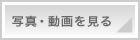 �ʐ^�E���������