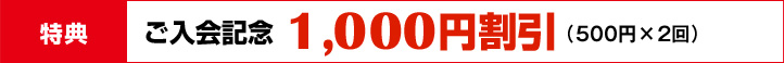 �y���T�P�z������L�O�@1,000�~����