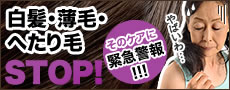 �����E���сE�ւ����STOP�I