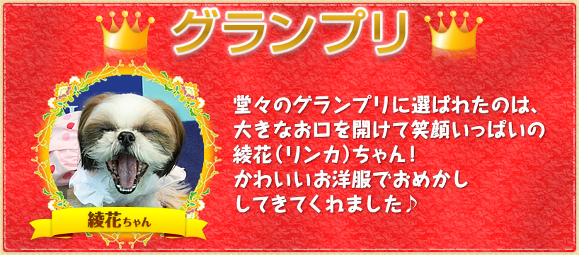 ＜グランプリ＞☆綾花（リンカ）ちゃん　堂々のグランプリに選ばれたのは、大きなお口を開けて笑顔いっぱいの綾花（リンカ）ちゃん！かわいいお洋服でおめかししてきてくれました♪