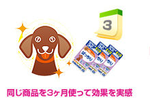 同じ商品を3ヶ月使って効果を実感