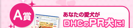 A賞
あなたの愛犬がDHCのPR犬に!