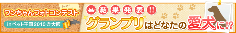 ワンちゃんフォトコンテスト 結果発表!!