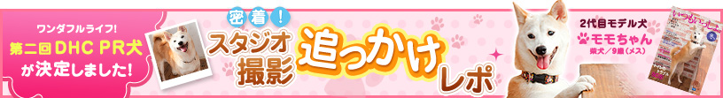 密着！スタジオ撮影追っかけレポ