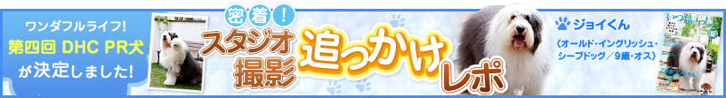 密着！スタジオ撮影追っかけレポ