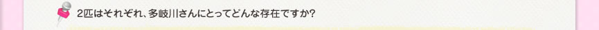 2匹はそれぞれ、多岐川さんにとってどんな存在ですか？