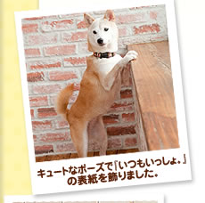 キュートなポーズで『いつもいっしょ。』の表紙を飾りました。