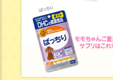モモちゃんご愛用サプリはこれ!