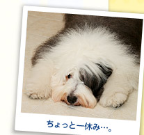 ちょっと一休み…。