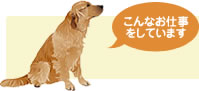 こんなお仕事をしています