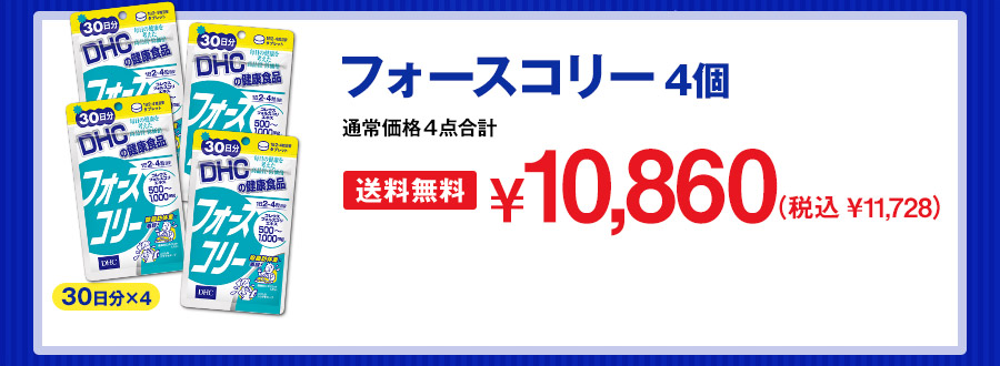 tH[XR[4 ¥10,860iō ¥11,728j