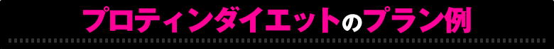 �v���e�B���_�C�G�b�g�̃v������