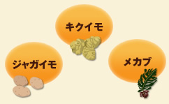 �W���K�C���@�L�N�C���@���J�u