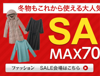 t@bV SALE͂