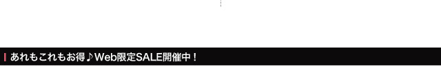 WebSALEJÒI