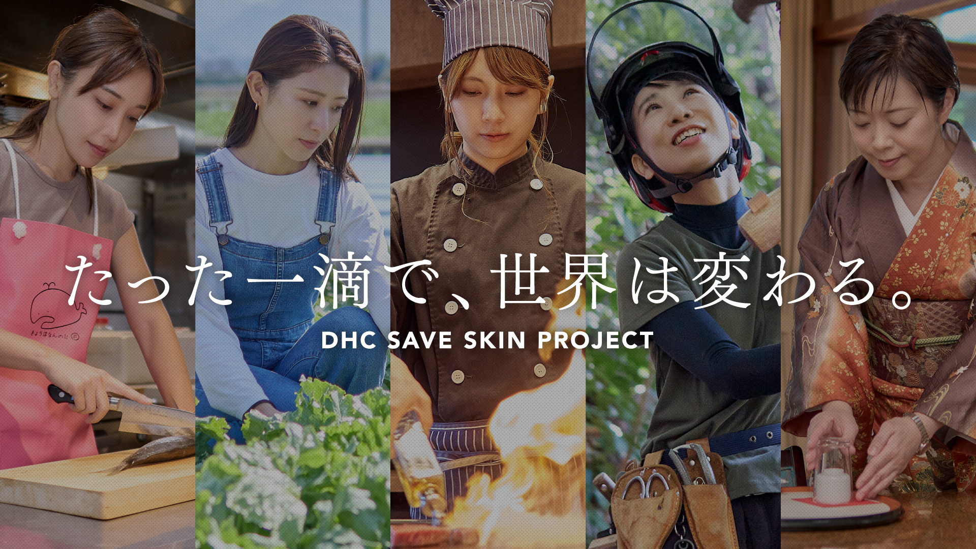 DHC SAVE SKIN PROJECT