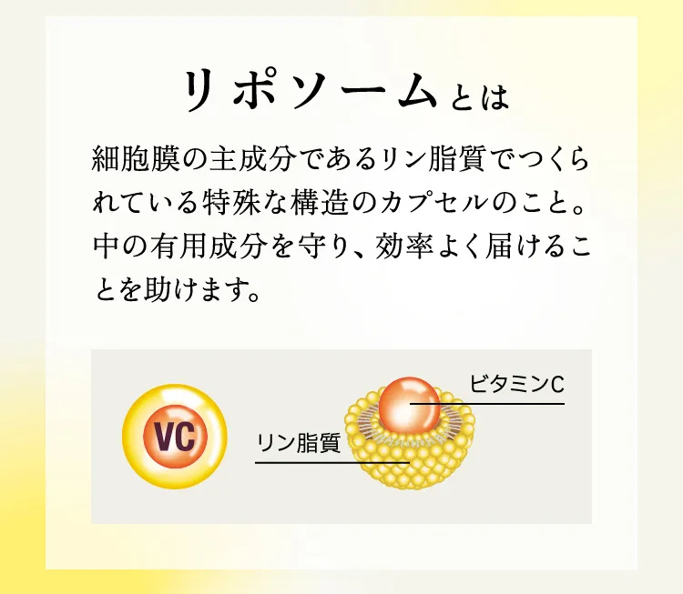 リポソームとは　細胞膜の主成分であるリン脂質でつくられている特殊な構造のカプセルのこと。中の有用成分を守り、効率よく届けることを助けます。