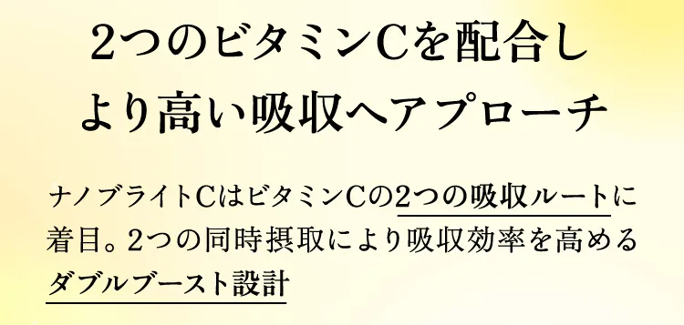 2つのビタミンCを配合しより高い吸収へアプローチ　ナノブライトCはビタミンCの2つの吸収ルートに着目。2つの同時摂取により吸収効率を高めるダブルブースト設計