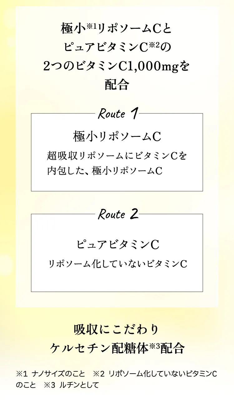 極小※1リポソームCとピュアビタミンC※2の2つのビタミンC1,000mgを配合　Route1 極小リポソームC 超吸収リポソームにビタミンCを内包した、極小リポソームC Route2 ピュアビタミンC リポソーム化していないビタミンC 吸収にこだわりケルセチン配糖体※3配合 ※1ナノサイズのこと　※2リポソーム化していないビタミンCのこと　※3ルチンとして