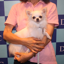 まろんちゃん