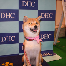 ももちゃん