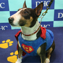 バーディーちゃん