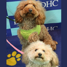 もも　りょうちゃん