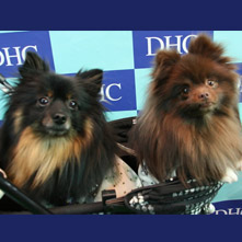 沙羅　玲ちゃん