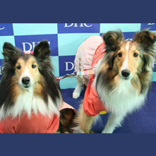 リン　レイちゃん