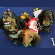 西羅　北斗　未璃ちゃん