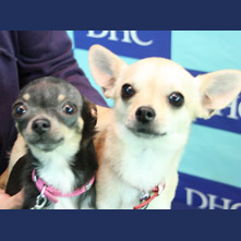 ルナ　レオちゃん