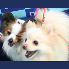 コロン　モコちゃん