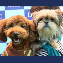 チロル　プリレちゃん