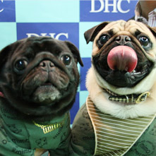 なす　ゆずちゃん