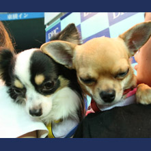 ノン　リョウちゃん