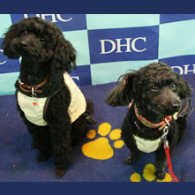 メイ　ララちゃん