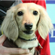 ティアラちゃん