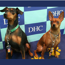 しゅん　りゅうちゃん