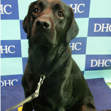 ほうすけちゃん