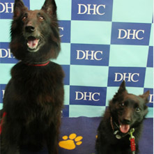 まぐら　るなちゃん