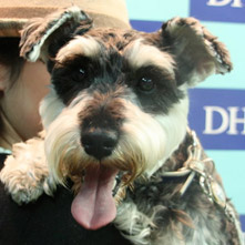 チャーリーちゃん