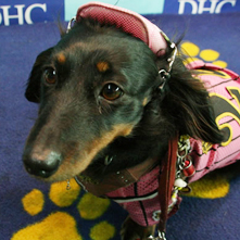 ジャスミンちゃん