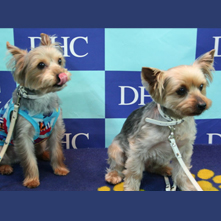 翔　ルイちゃん