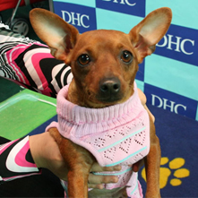 チュチュちゃん