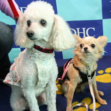 にいな　れいなちゃん