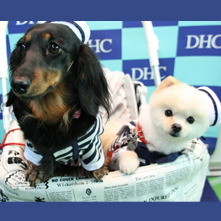 悠　リリィちゃん