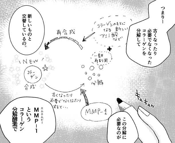 5枚目