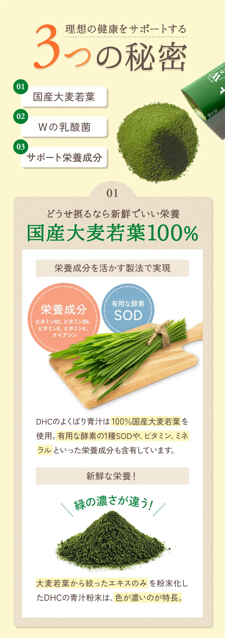 ���z�̌��N���T�|�[�g����3�̔閧 01 ���Y�唞��t100%