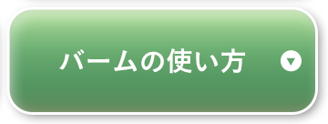 �o�[���̎g����