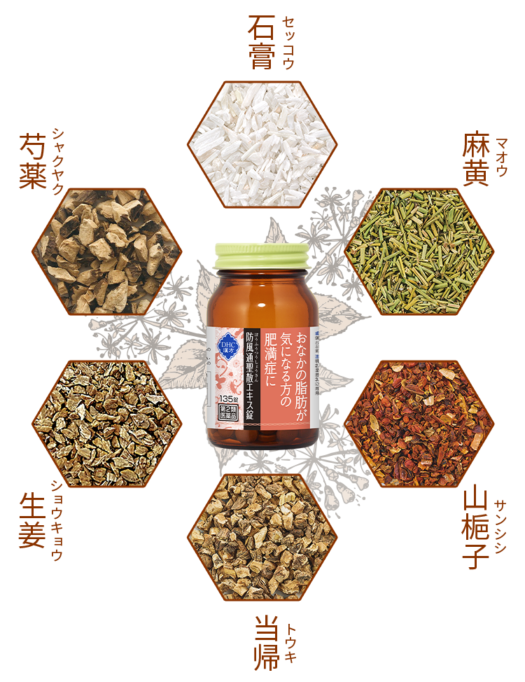 �΍p �Z�b�R�E ���� �}�I�E �R���q �T���V�V ���A �g�E�L ���I �V���E�L���E 䉖� �V���N���N